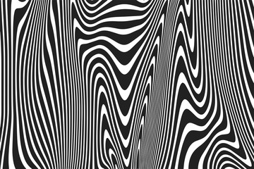 Wall Mural - Abstract wavy black and white stripes pattern of twisted curved ripple lines background. Vector modern trendy background curves or geometric zebra backdrop