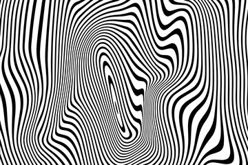 Wall Mural - Abstract curved stripes pattern of wavy twisted black and white curved ripple lines background. Vector modern trendy 3D curves or geometric zebra texture background