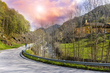 Wall Mural - Mist over the road