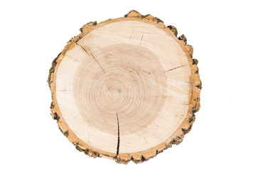 cut tree  on white background. wooden tray