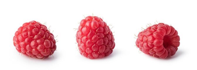 Sticker - raspberry