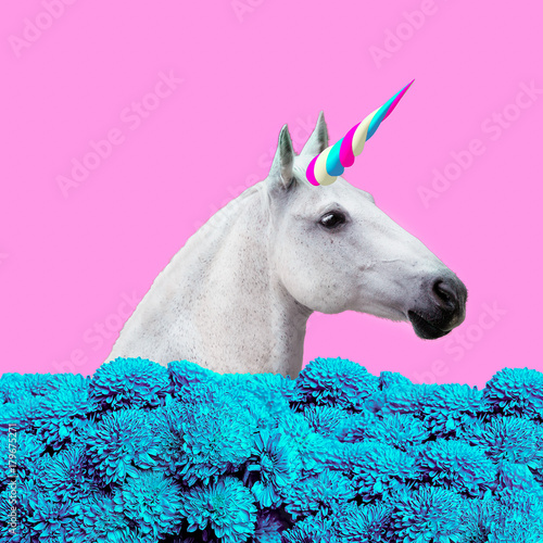 Valokuva  Unicorn collage with flowers