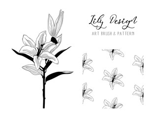 Wall Mural - Lily Flower Design. Art Brush and Pattern. Vector