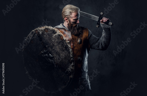 Viking dressed in Nordic armor holds a shield and silver sword. Canvas Print