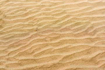  砂浜