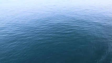 Canvas Print - Blue sea surface in a beautiful summer day