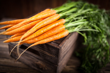 Wall Mural - Fresh organic carrot