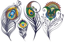 Beautiful Peacock Feathers On White Background, Hand Drawn Sketch Vector Illustration.
