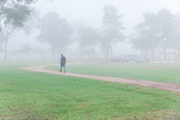 Wall Mural - Urban park in Texas, USA with huge pine trees, trails in foggy fall morning. Motion blurred of people jogging/running/exercising/workout. Composition of nature, healthy lifestyle concept background.