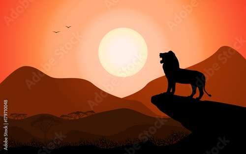 Fototapeta  Vector silhouette king lion african nature