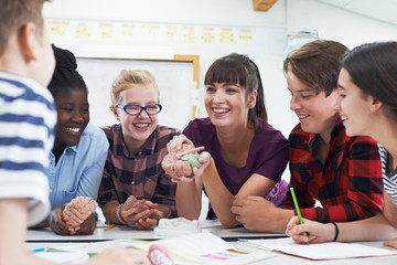 Wall Mural - teenage students with teacher in biology class