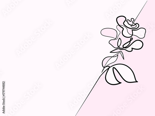 Continuous Different Width Line Drawing Beautiful Rose Flower