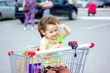 Sticker - Little kid girl sitting in a shopping cart with the shopping bags inside.