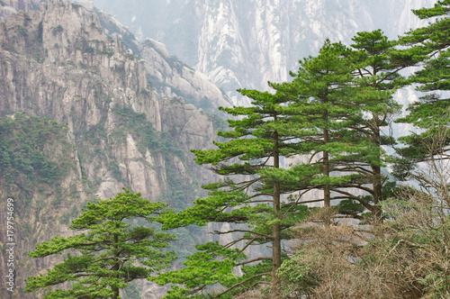 Zdjęcie XXL Huangshan Yellow Mountains, rocks and pines.