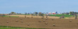 vast midwest farm land panorama