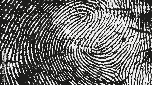 Cuadros en Lienzo Original fingerprint pattern. Black stripes on white background.