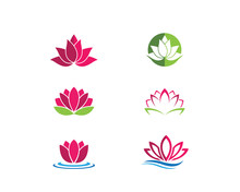 Beauty Vector Flowers Design Logo