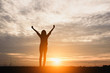 © palidachan - Silhouette of Freedom happy girl feeling alive and free in nature breathing clean and fresh air ,showing happiness with arms raised up at the sunset background