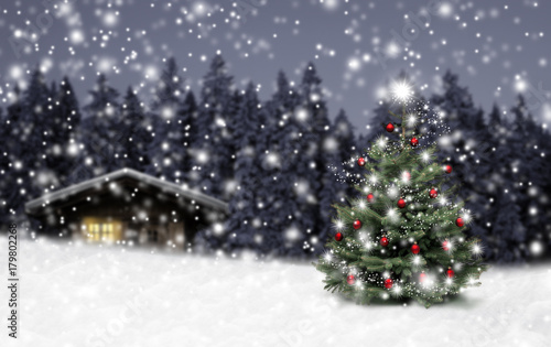 Fototapeta Schild Weihnachten im Winterwald