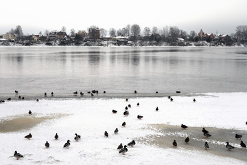 Canvas Print - View of Neva River at winter cloud day.