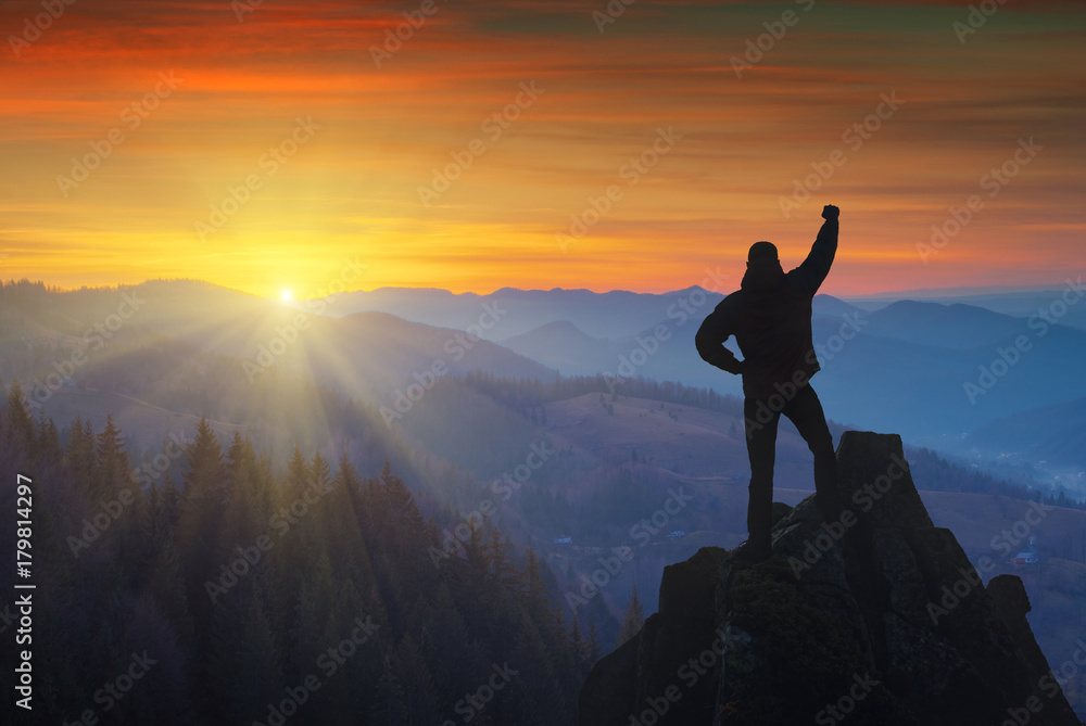 The successful man standing on a mountain top - obrazy, fototapety, plakaty 