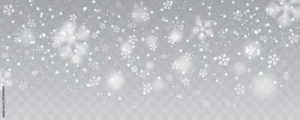 Vector heavy snowfall, snowflakes in different shapes and forms. Many white cold flake elements on transparent background. White snowflakes flying in the air. Snow flakes, snow background. - obrazy, fototapety, plakaty 