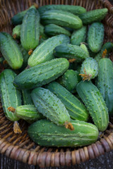 Poster - cucumbers in a basket on wooden surface