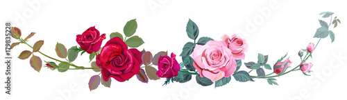 Horizontal border with branch curly pink, red rose, bouquet with flowers, bud...