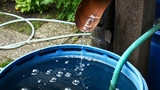 Fototapeta  - Rain Water Is Streaming into Barrel in the Garden.
