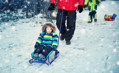 Wall Mural - Father with sons walking at snowfall