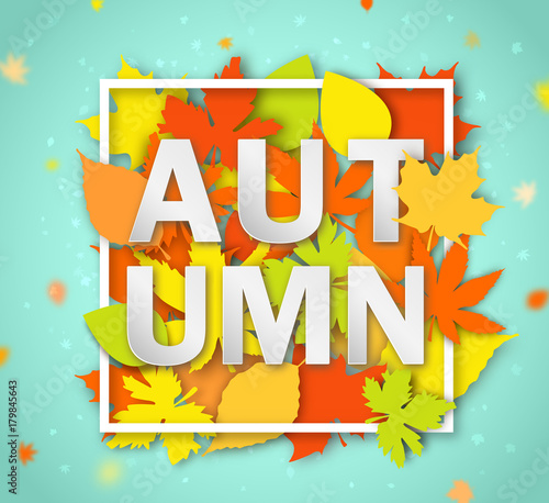 Autumn Seasonal Banner Greeting Card With Word Autumn And