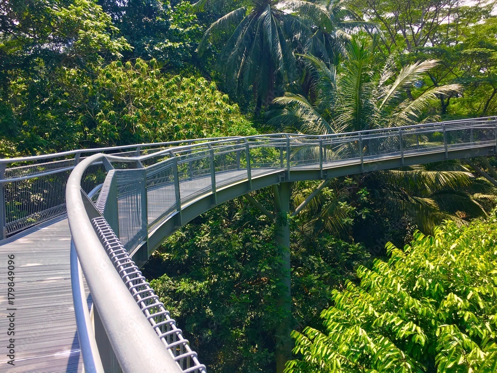 Tree Top Ridges Tree top walk Southern Ridges trail in Singapore Stock Photo | Adobe Stock