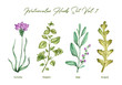Watercolor herbs set volume 1. Illustration in high resolution.