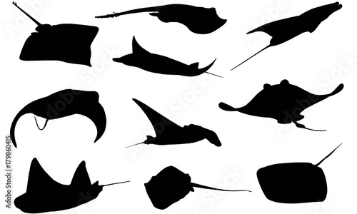 Manta ray Silhouette Vector Graphics - Buy this stock vector and ...