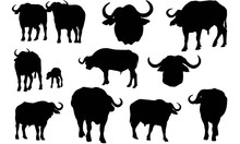 African Buffalo Silhouette Vector Graphics 