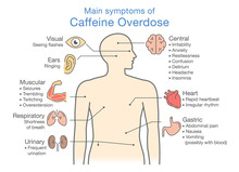 Main Symptoms Of Caffeine Overdose. Illustration About Health Check Up Diagram.