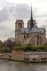 Wall Mural - notre dame de paris