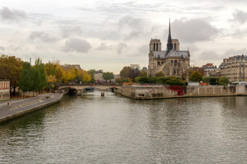 Wall Mural - notre dame de paris