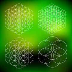 Wall Mural - vector computer generated flower of life symbol fractals - generative art set