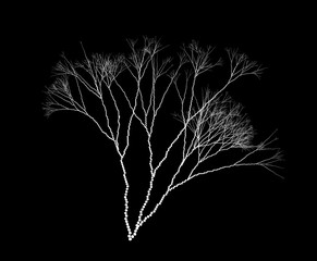 Wall Mural - vector fractal dotted algae branches - graaphic element