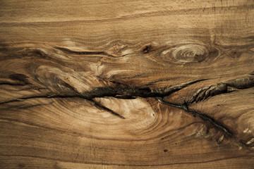 Wood planks traced texture