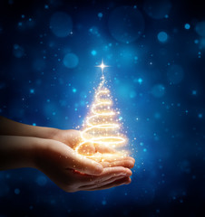 The Magic Of Christmas In Child Hand
