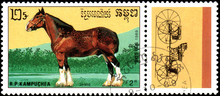 R.P. KAMPUCHEA - CIRCA 1989: A Stamp Printed In R.P. Kampuchea Shows A Shire Horse, Series Breeds Of Horses