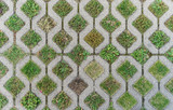 paving stones / Paving stones with different grasses and wild herbs 