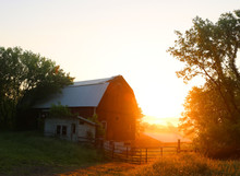 Sunrise On The Farm