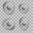Set of 3d Isolated human grey cell. Realistic vector illustration. Template for medicine and biology