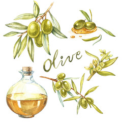 Set A branch of ripe green olives is juicy poured with oil. Drops and splashes of olive oil. Watercolor and botanical illustration isolated on white background.