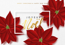 Merry Christmas, Background Decorated With Beautiful Red Buds Poinsettia Flowers. French Text Joyeux Noel