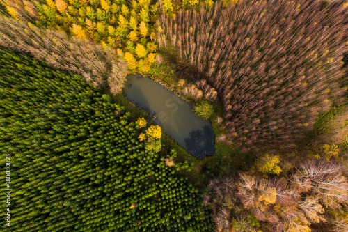 Zdjęcie XXL Staw w lesie, widok z góry