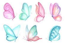 Set Of Watercolor Butterfly.